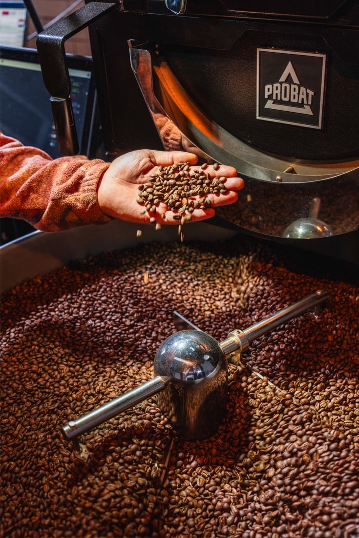 Roasting session with Probat